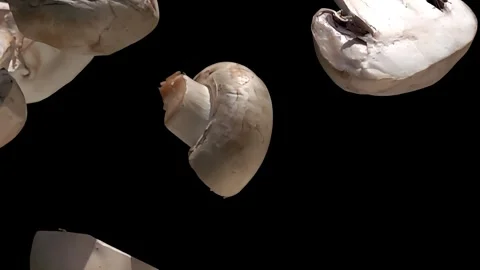 Champignon mushrooms falling down on the black background in slow motion Stock Footage 283793839