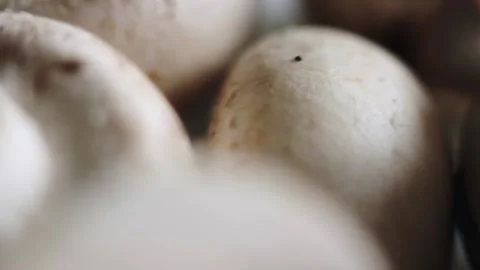 Champignon mushrooms in macro Stock Footage 143592308