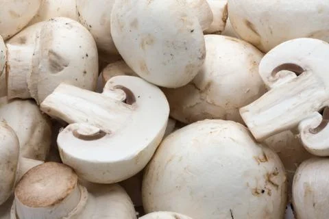 Champignon mushrooms Stock Photos