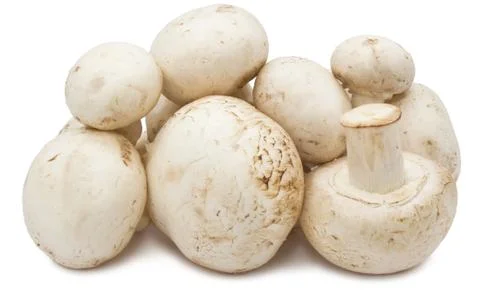 Champignon mushrooms Stock Photos