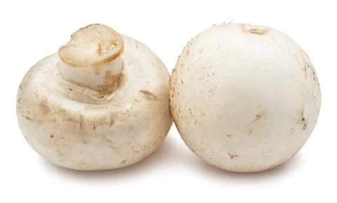 Champignon mushrooms Stock Photos