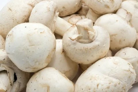 Champignon mushrooms Stock Photos