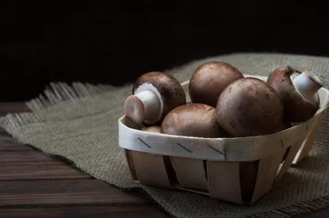 Champignon mushrooms 스톡 사진