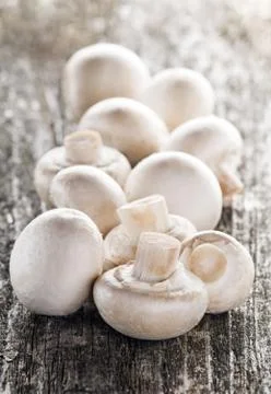 Champignon Stock Photos