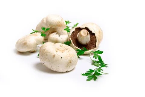 Champignon Foto stock
