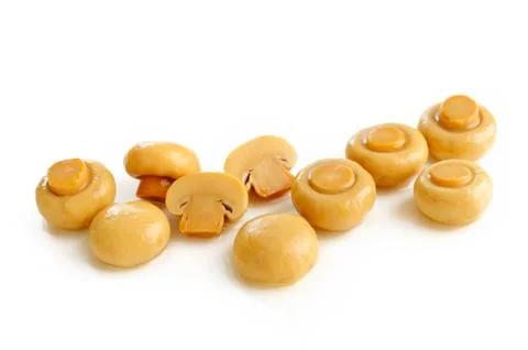 Champignon Stock Photos