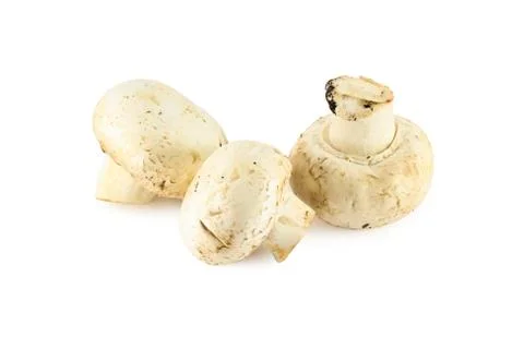Champignon Stock Photos