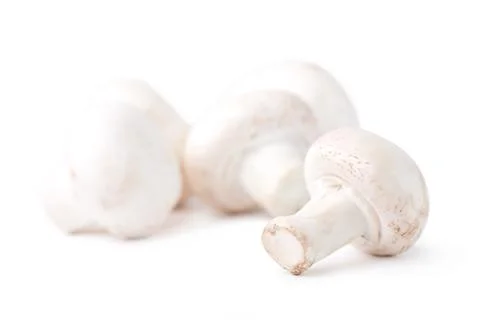 Champignon Foto stock