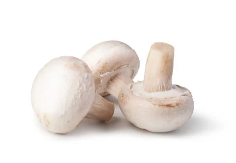 Champignon Stock Photos