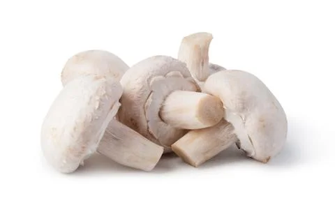 Champignon Stock Photos
