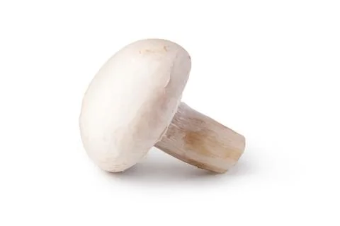 Champignon Stock Photos