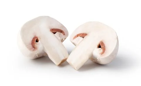Champignon Stock Photos