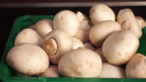 Champignon tray. Pan. Stock Footage 106392850