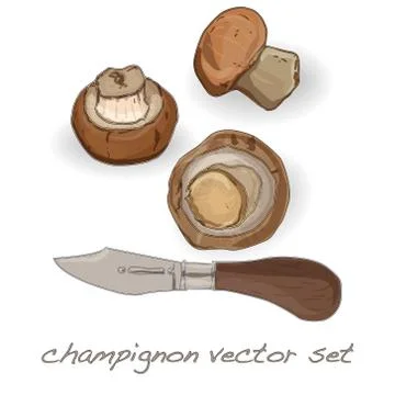 Champignon vector set illustration Stock Illustration