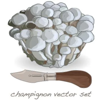 Champignon vector set illustration Stock Illustration