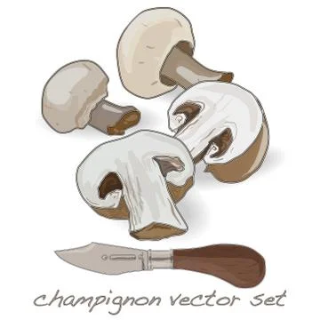 Champignon vector set illustration Stock Illustration