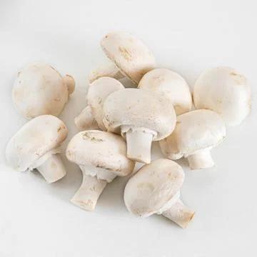 Champignon on a white background Stock-Fotos