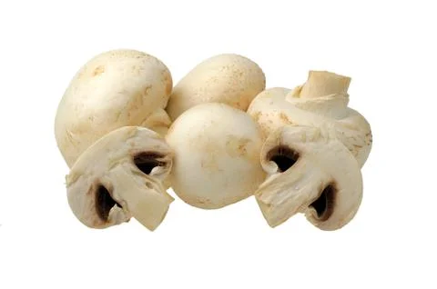 Champignon on a white Stock Photos