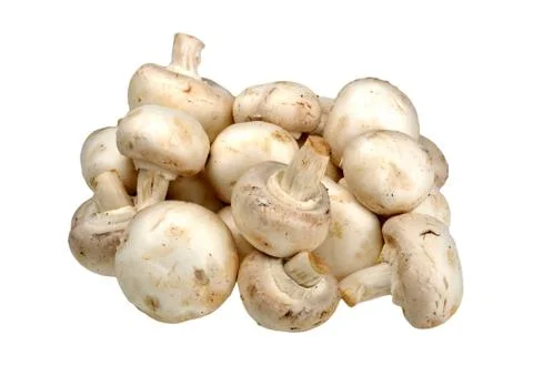 Champignon on a white Stock Photos