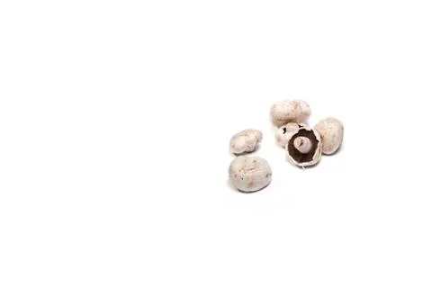 Champignon on white Stock Photos