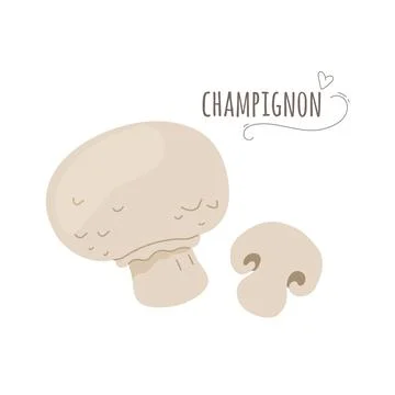 Champignon,agaricus mushrooms isolated on white background.Vector illustratio Stock Illustration