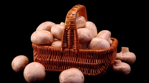 Champignons in a basket on a black background. Stock Footage 35468682