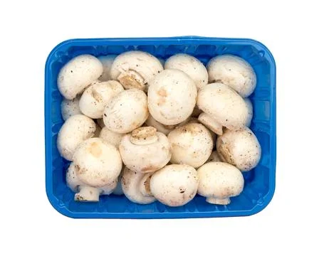 Champignons in a blue plastic container. 스톡 사진