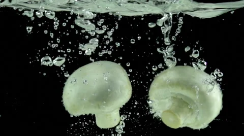 Champignons Fall Into the Water Stock Footage 46212860