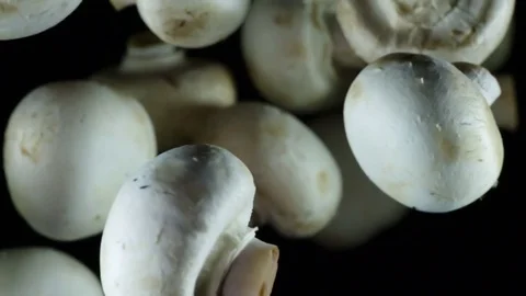 Champignons in Flight Upward HD Pro Stock Footage 73771324