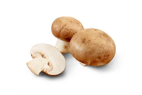 Champignons isolated Stock Photos