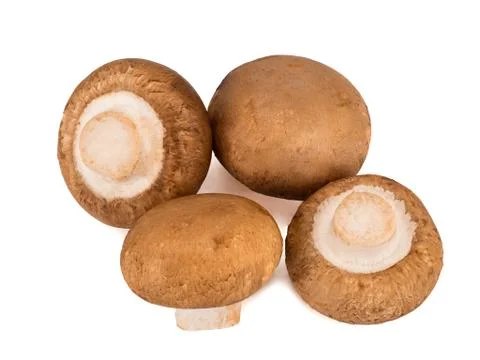 Champignons isolated on a white background Stock Photos