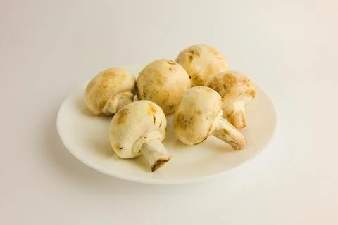 Champignons isolated on white background Stock Photos