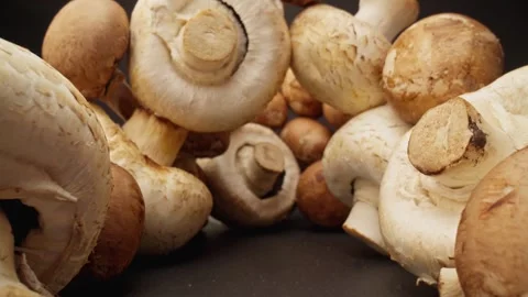 Champignons mushroom. Camera moving through pile of mushrooms. Video stock 245028450