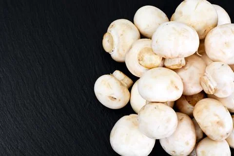 Champignons Mushroom Stock Photos