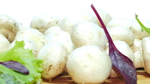 Champignons mushrooms Stock Footage 47254847