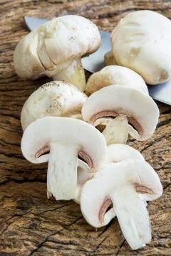 Champignons mushrooms Stock Photos