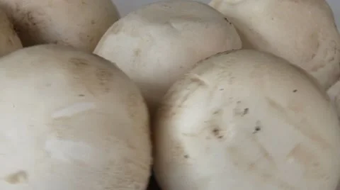 Champignons mushrooms rotating in front of camera  5 Stock Footage 44326578