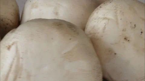 Champignons mushrooms rotating in front of camera  4 Stock Footage 44326692
