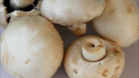 Champignons mushrooms rotating in front of camera  1 Stock Footage 44327644