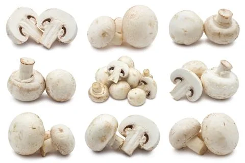Champignons Stock Photos