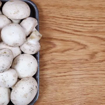 Champignons Stock Photos