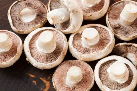 Champignons Stock Photos