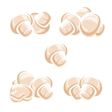 Champignons set. Collection icon champignon. Vector Stock Illustration
