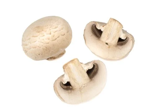 Champignons on a white background Stock Photos