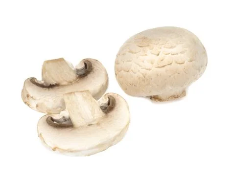 Champignons on a white background Stock Photos
