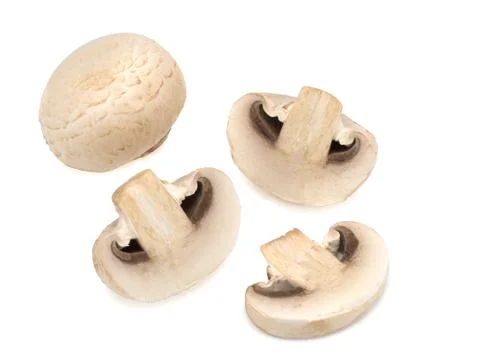 Champignons on a white background Stock Photos