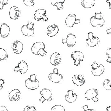 Champignons on white background.  Vector  pattern. Stock Illustration