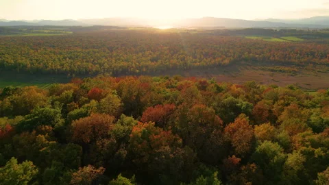 Champlain Valley Fall Trees Sunsetm Orwell, VT Stock Footage 313844347