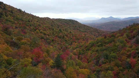 Champney Falls Foliage 動画素材 221714740