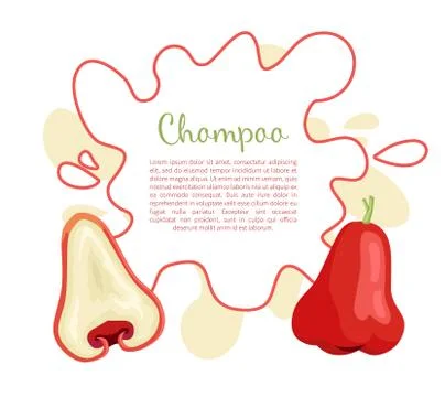 Champoo Exotic Juicy Fruit Vector Isolated. Java apple Ilustración de archivo